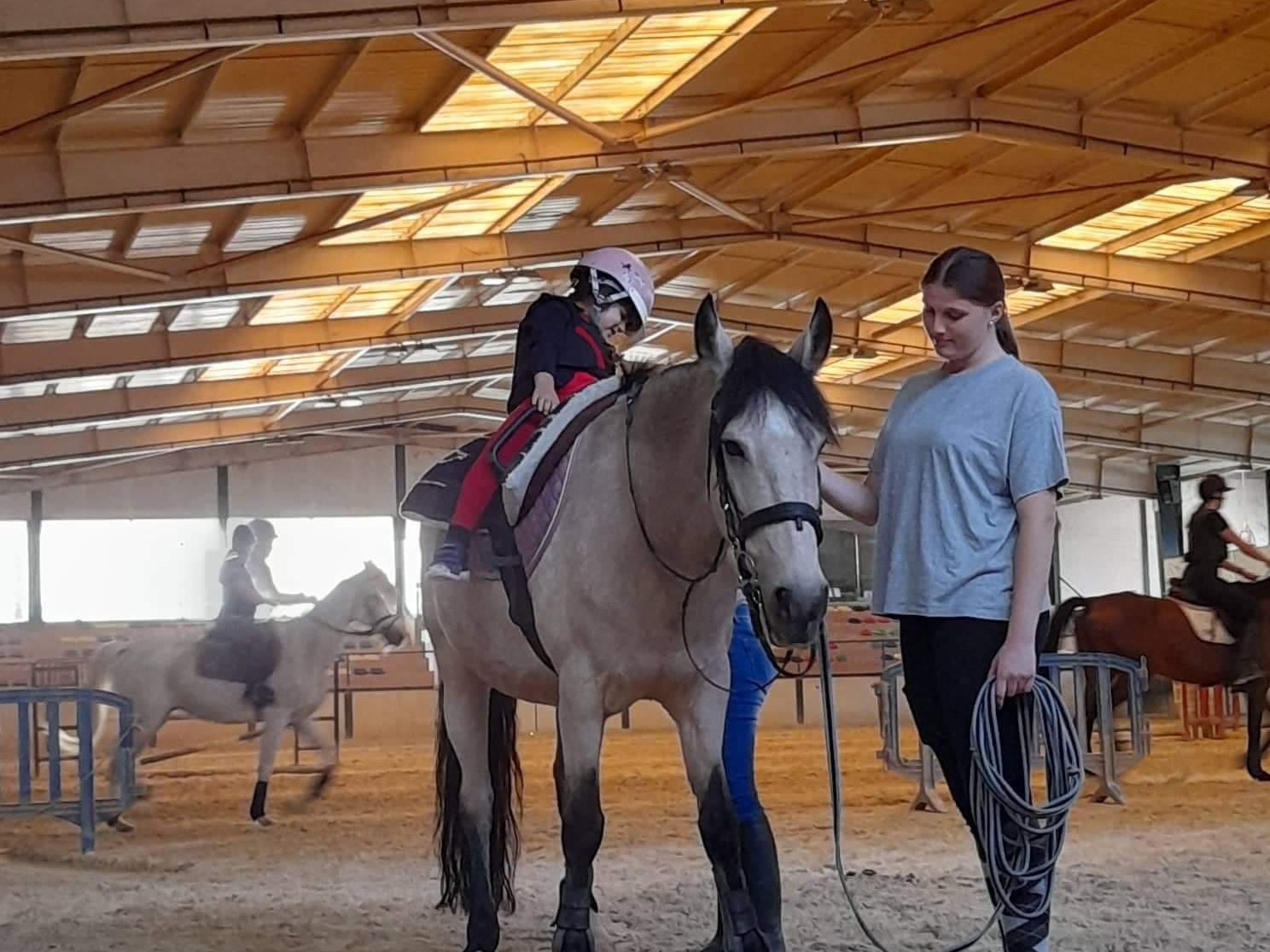 Trainee holding a horse during a lesson in an indoor arena